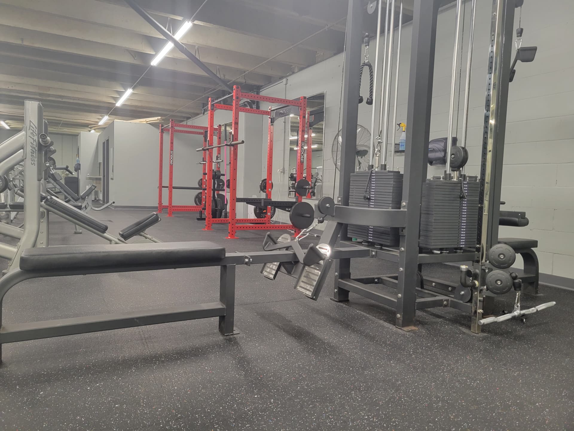 Selectorized and plate-loaded strength machines